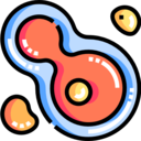 animals,virus,healthcare and medical,education,division,coronavirus,bacteria,Microorganism,cell,cell division